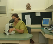 MEDICAL SUPPORT
